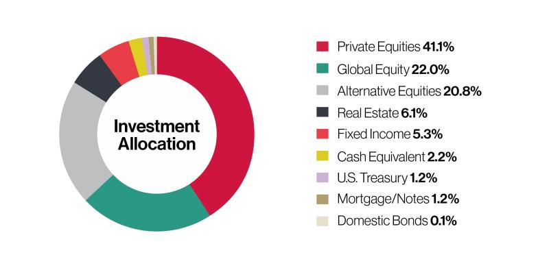 Endowment investment allocations graph